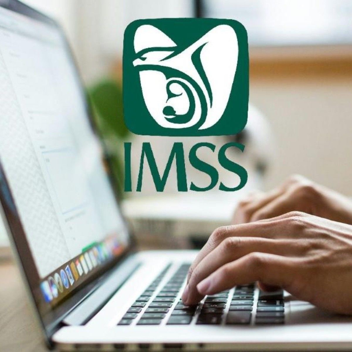 Imagen de altas en el IMSS